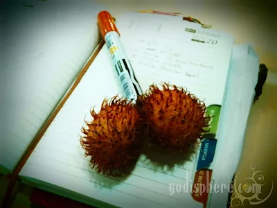 Rambutan fruit funny photo