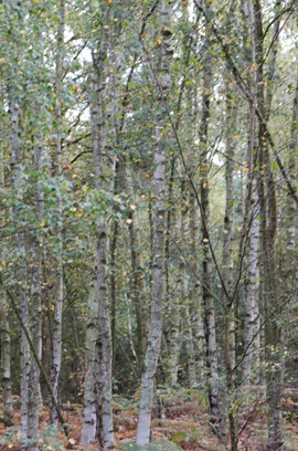 blog__D7K1726_2
