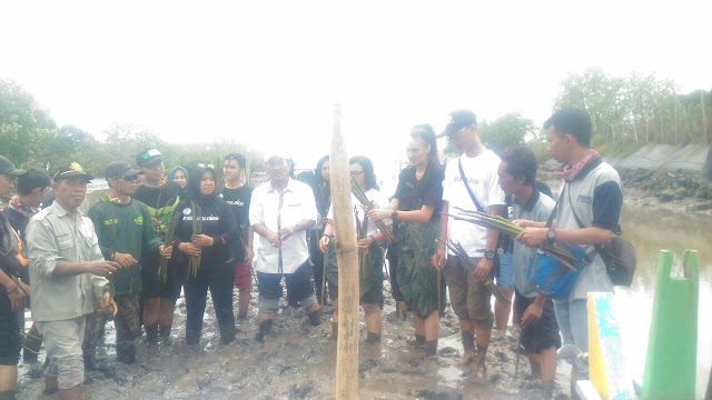 Konservasi Mangrove dan Eko Wisata Taman Kili Kili Tegalpare Wringinputih