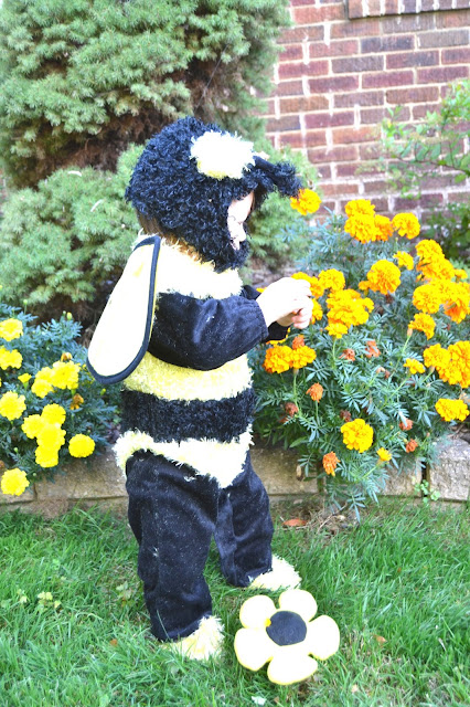 Toddler Bee Costume