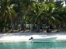P1050856