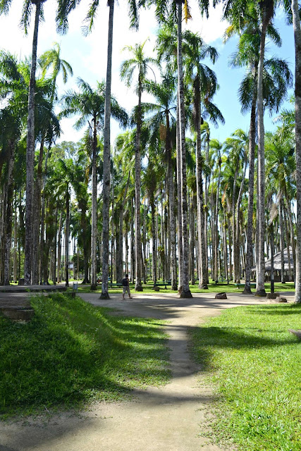 Suriname, Paramaribo, Amérique du Sud