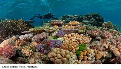 Great Barrier Reef