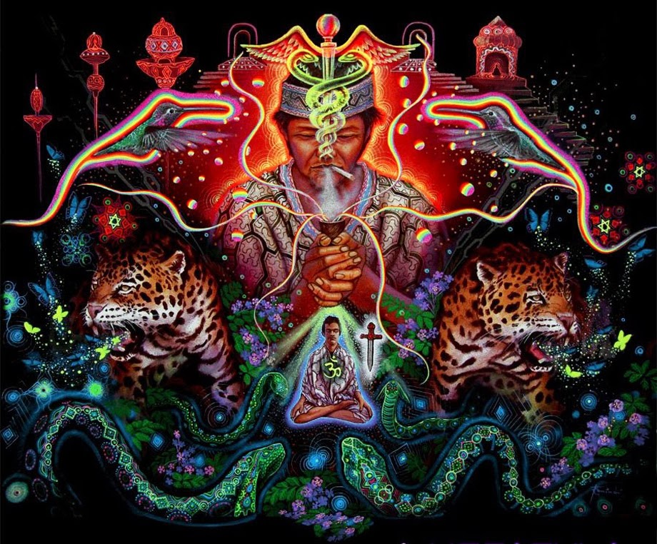 Ayahuasca Inspired Art by Juan Carlos Taminchi - Sam Woolfe