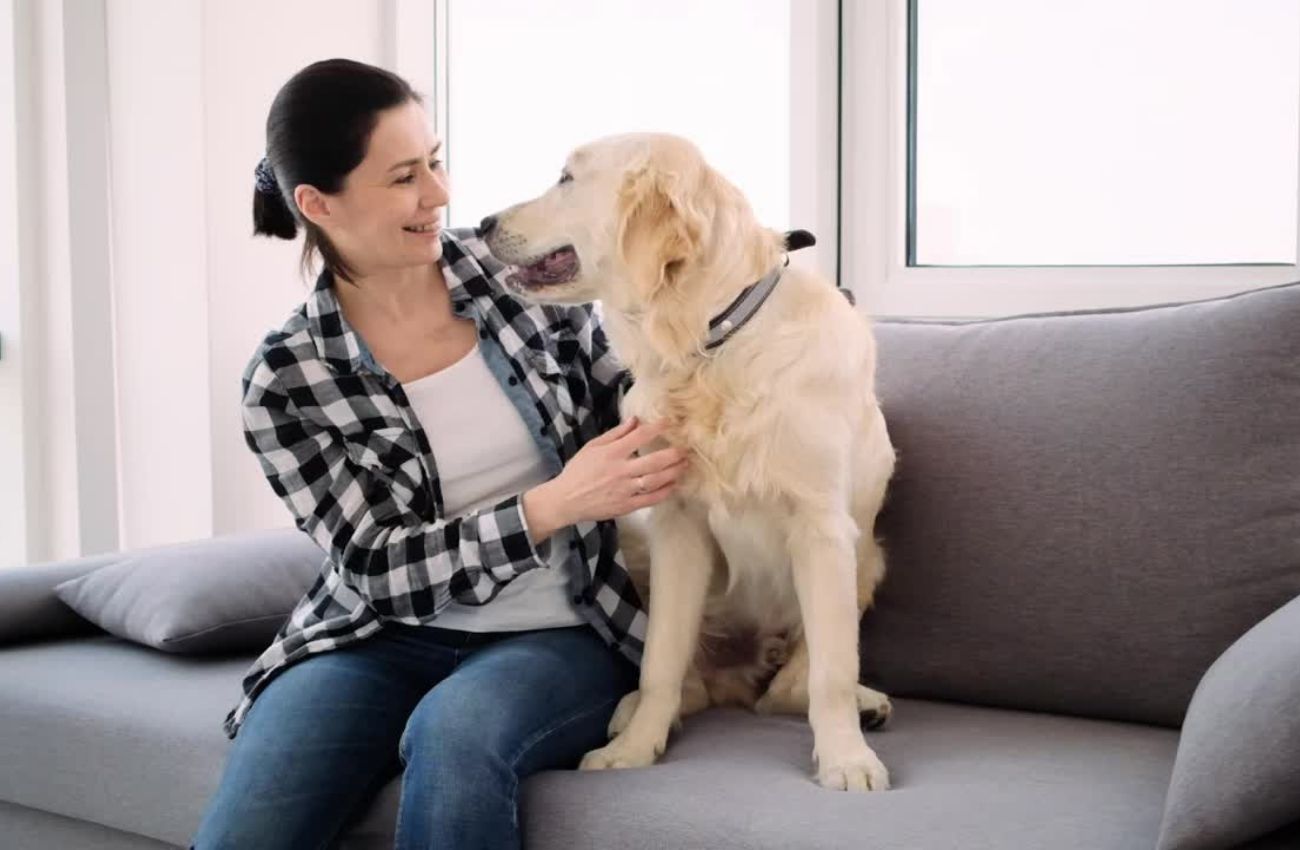 12 Cães para Apartamento: Características e Raças!