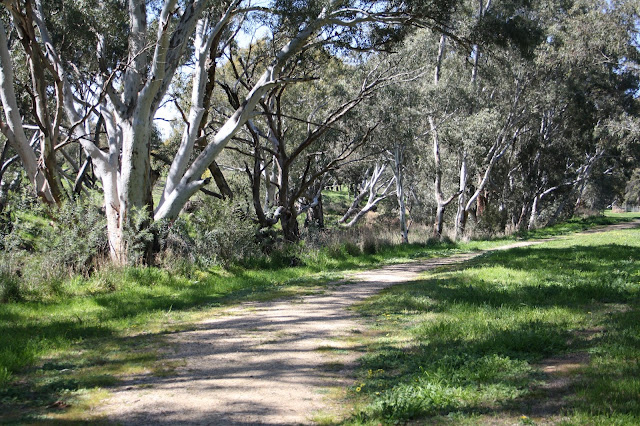 Carisbrook Log Gaol