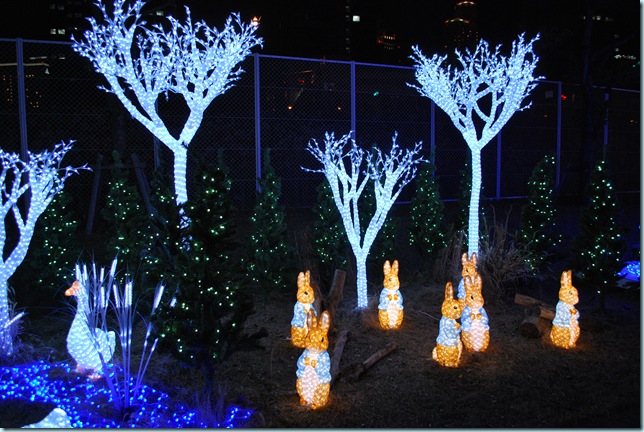 Osaka Luminarie 016