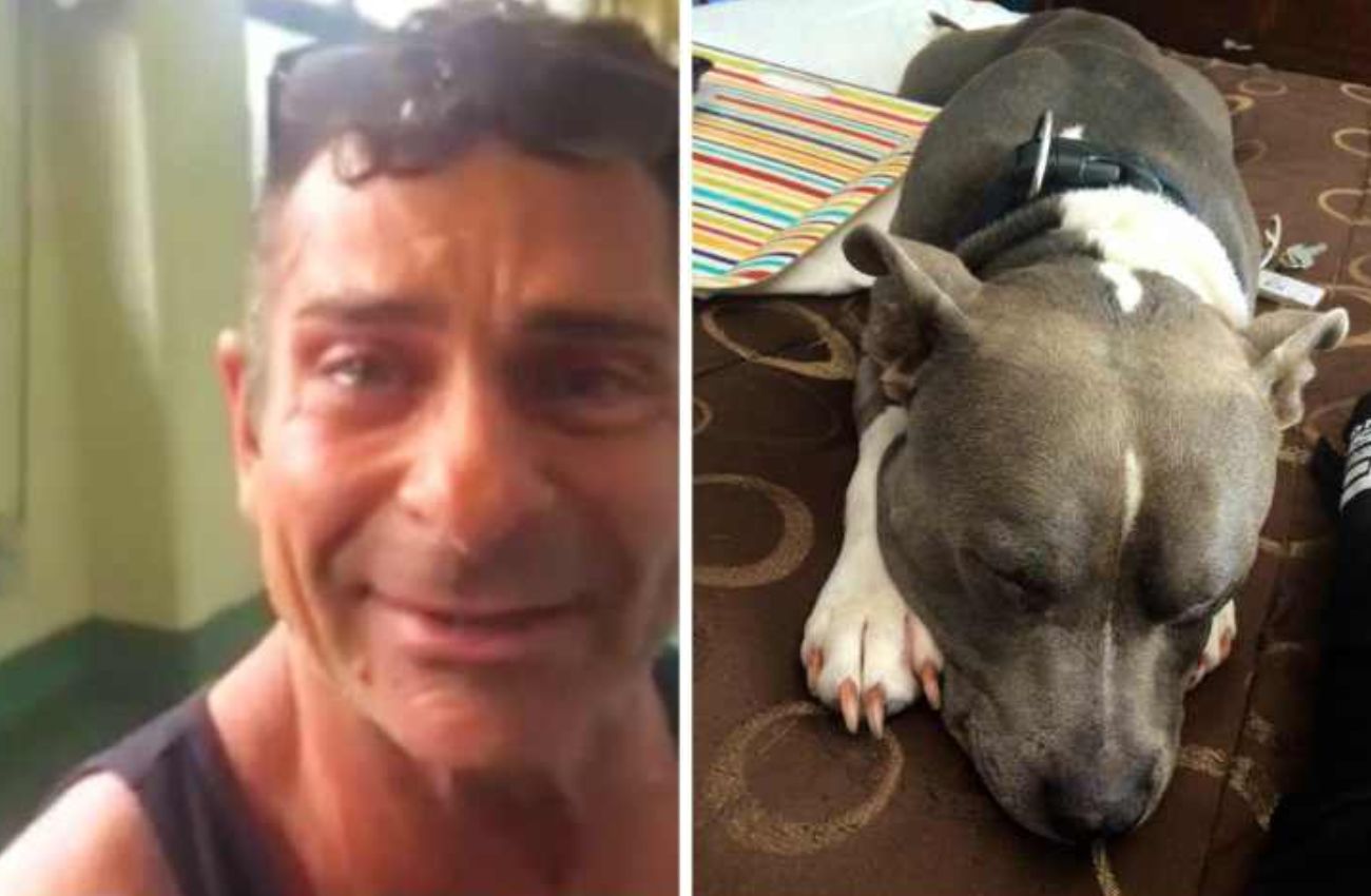 Tutor acha cão roubado há 2 anos, apenas 2 dias antes de ser sacrificado