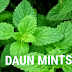 DAUN MINTS