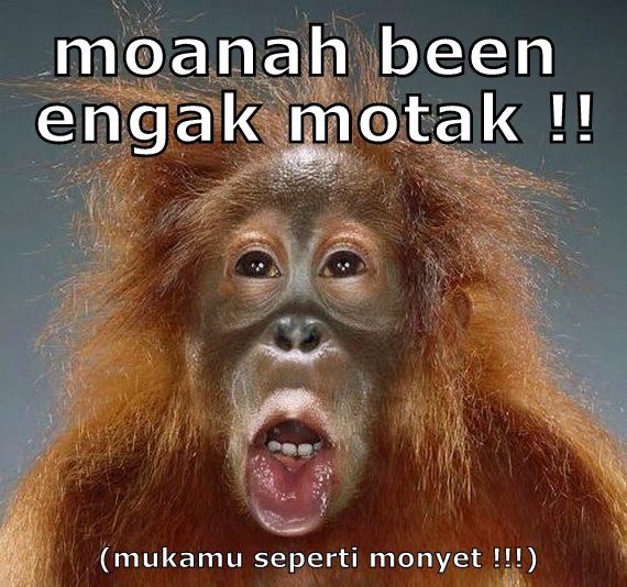 Gambar Lucu Menggunakan Bahasa Madura  Humor Lucu Banget