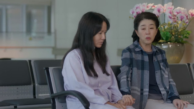 Sinopsis Doctor Cha Korean Drama