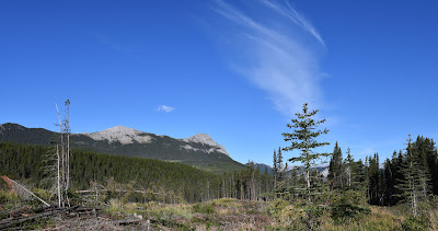 Trans Canada Trail open country Alberta.