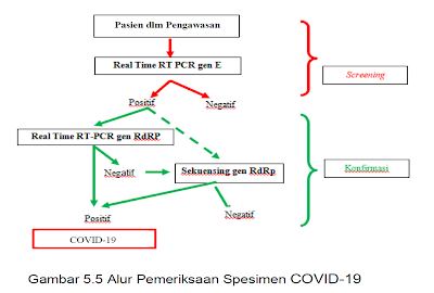 alur pemeriksaan spesimen covid-19