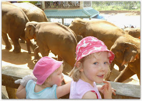 Pinnawala Elephant Orphanage, Sri Lanka