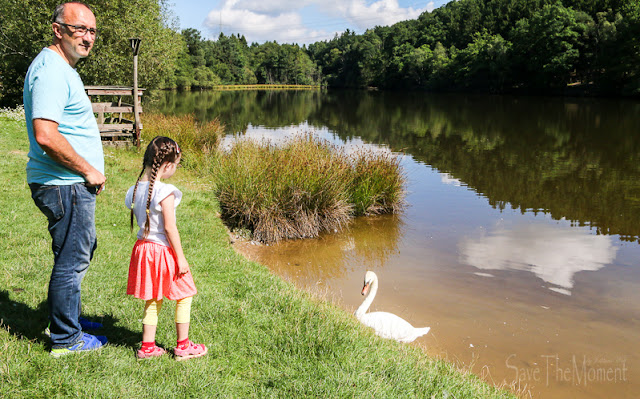 Hunsrück Wildpark Rheinböllen See