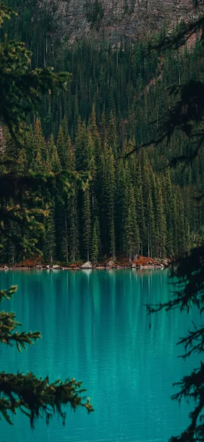 iPhone 11 Lake, Forest, Nature Wallpaper