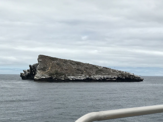 Roca Cousins, Isla Santiago, Galápagos