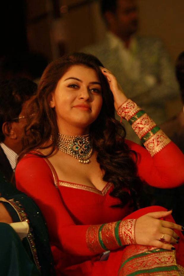 Hansika Motwani Stunning Hot N Sexy Pics