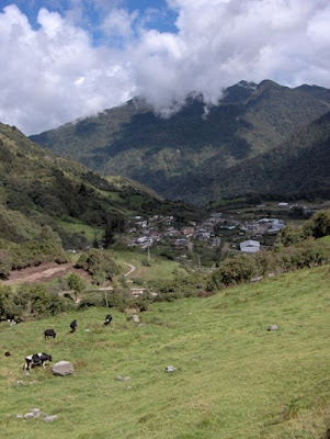 Cuáles son las regiones más importantes de Ecuador por su Biodiversidad 