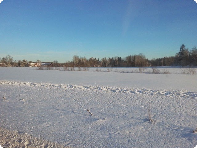 vinter1