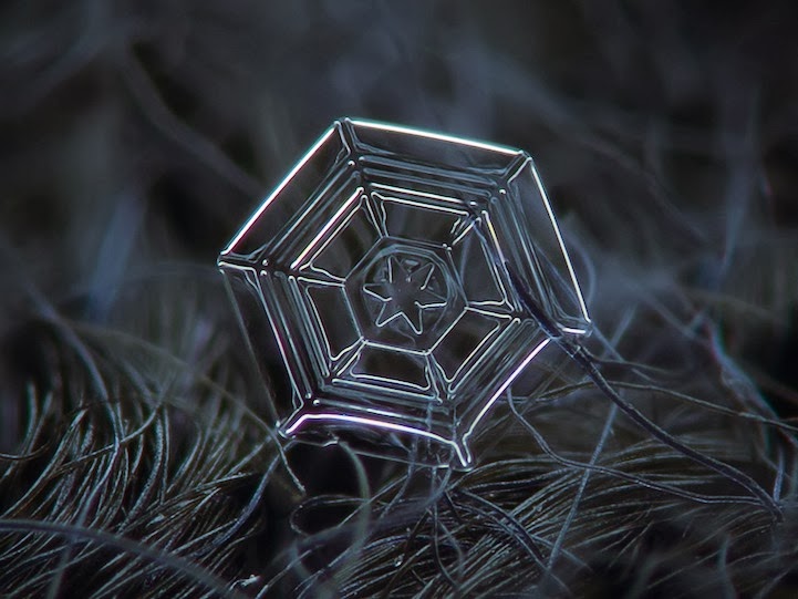 Stunning Macro Details of Uniquely Beautiful Snowflakes With An Inexpensive DIY Camera