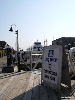 Boston Whale Watching & Dolphin Adventure: Embrace the Beauty of Boston from a Different Perspective