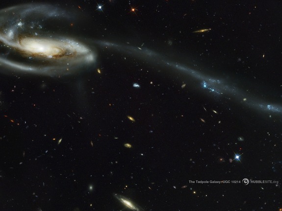 Imagem: Uma galáxia de arrasto