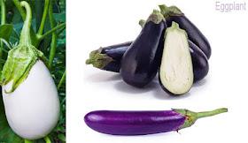 বেগুন, Eggplant, Eggplant vegetable; aubergine; bringal; الباذنجان; 茄子; Aubergine; बैंगन; Terong; Melanzana; ナス; बैंगन; Berinjela; Баклажан; Berenjena; Patlıcan; بینگن; بادمجان