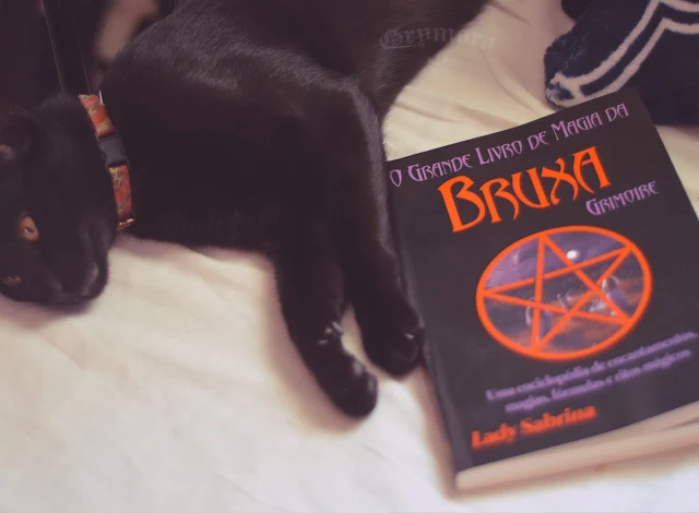 Resenha: O grande livro de magia da Bruxa Grimoire de Lady Sabrina