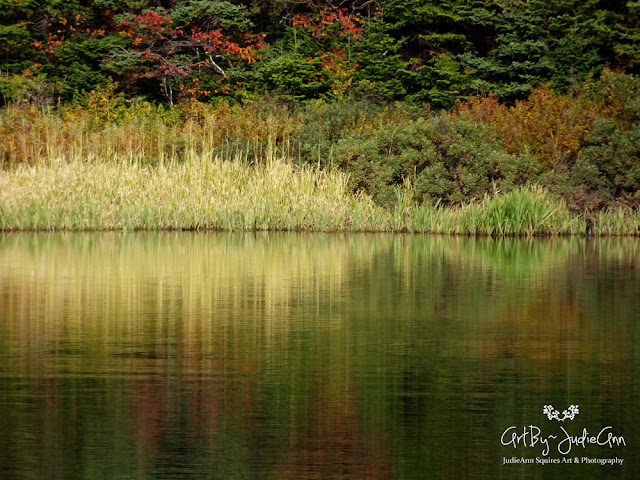 Autumn Reflections