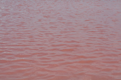 pink water
