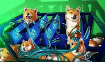 How to Mining Dogecoin on PC for Beginners