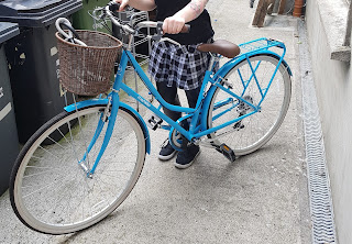 Stolen Bicycle - Martello Sutton