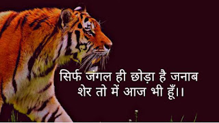 Attitude Whatsapp Status in Hindi - attitude quotes and shayari.