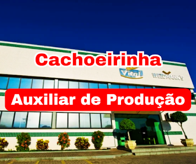 Vital Pães abre vagas para Auxiliar de Produção em Cachoeirinha