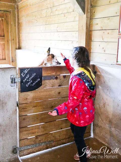 Kinderbauernhof im Center Parcs Bostalsee