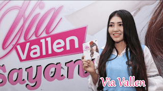 Free Download Mp3 Lagu Via Vallen Album Sayang