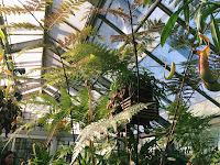 Uc Berkeley Botanical Garden Photography