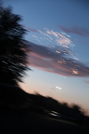 IMG_2784 IMG_2784