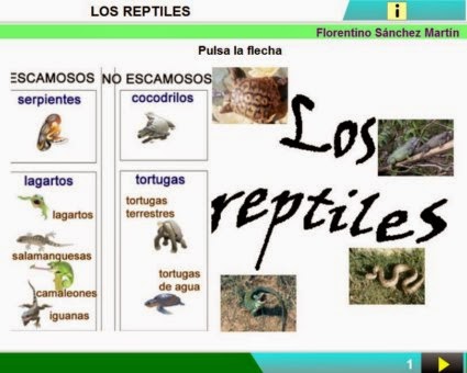 http://cplosangeles.juntaextremadura.net/web/edilim/curso_3/cmedio/animales_vertebrados_3/reptiles/reptiles.html