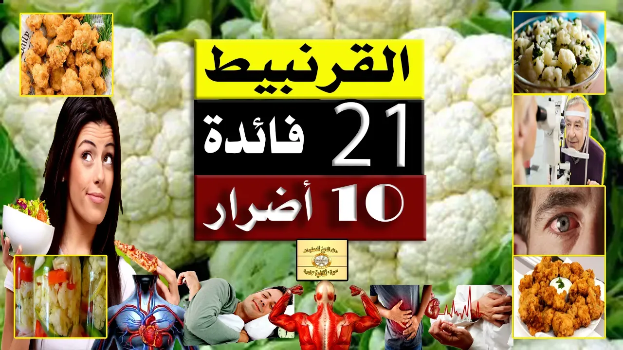 القرنبيط: 21 فائدة و10 أضرار