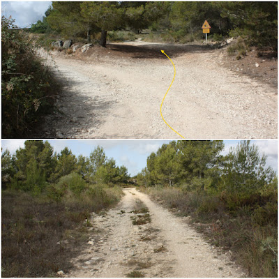 L'ARBOÇ-LA COSTETA-LA PEDRERA, camí de la Pedrera