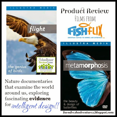 Product Review: Flight and Metamorphosis by FishFlix.com