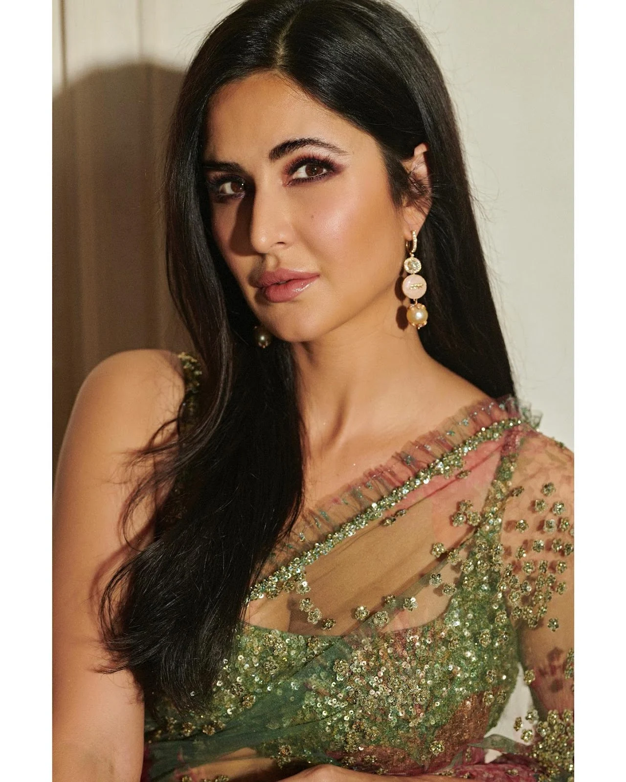 Katrina Kaif sheer saree hot actress