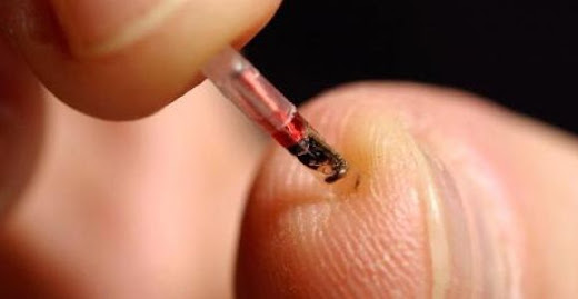 Microchips comestibles, sistemas biométricos de identificación y computadoras que leen la mente