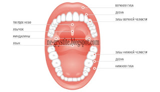 Заболевания зубов связанны с внутренними болезнями