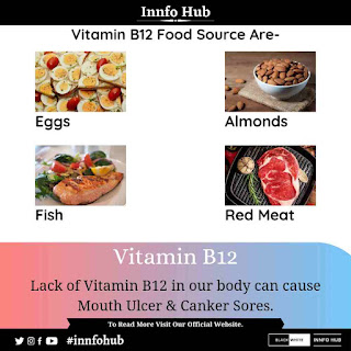 Vitamin B12 Rich Foods.