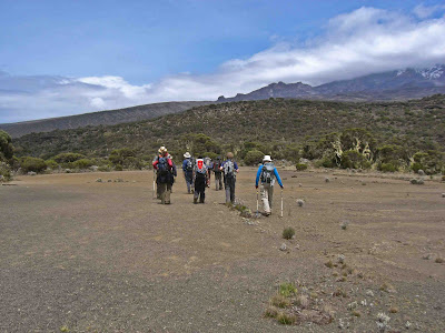 Heading to Shira Hut Camp