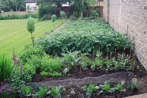 Raised garden beds also allow