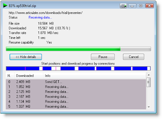 Internet Download Manager Screen 2